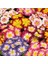 25'li 10 Farklı Renk Primula Çiçek Tohumu + 10'lu Kırmızı Gerbera Çiçek Tohumu 1