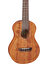 Takamıne Gu-C1 Concert Ukulele 3