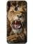 Samsung Galaxy M20 Kılıf Hd Desen Baskılı Arka Kapak + Temperli Cam - Lion King 1