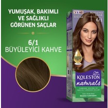 Naturals Saç Boyası Büyüleyici Kahve 6/1