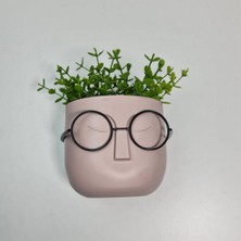 Hometarz Profesör Saksılar Yapay Çimli Sukulent Gözlüklü Saksı