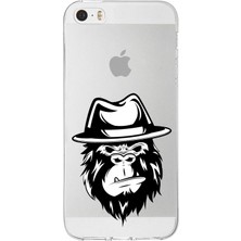 Printify Apple iPhone 5s Uyumlu Kapak Goril (Beyaz) Tasarımlı Şeffaf Silikon Kılıf