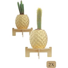 Stein Kohle Ayaklı Saksı Ahşap Büyük Boy 2 Adet Altın Renk Uygulamalı Ananas Model