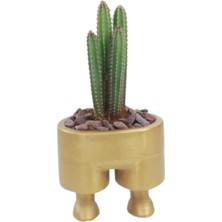 Stein Kohle Çiçek Saksısı Büyük Boy 1 Adet Altın Renk Uygulamalı Pantolon Model