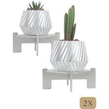 Stein Kohle Ayaklı Saksı Ahşap Büyük Boy 2 Adet Gümüş Renk Uygulamalı Dişli Model