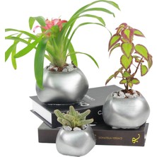 Stein Kohle Çiçek Saksısı Büyük Boy 3 Adet Gümüş Renk Eskitme Uygulamalı Spiral Oval Model