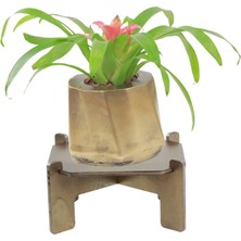 Stein Kohle Ayaklı Saksı Ahşap Büyük Boy 1 Adet Altın Renk Eskitme Uygulamalı Kalın Çizgi Model