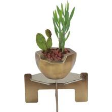 Stein Kohle Ayaklı Saksı Ahşap Dekoratif Kaktüs Saksısı 1 Adet Altın Renk Eskitme Uygulamalı Önü Açık Model