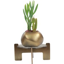 Stein Kohle Ayaklı Saksı Ahşap Dekoratif Kaktüs Saksısı 1 Adet Altın Renk Eskitme Uygulamalı Spiral Oval Model