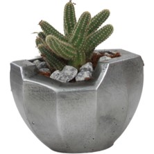 Stein Kohle Çiçek Saksısı Dekoratif Kaktüs Saksı 1 Adet Gümüş Renk Eskitme Uygulamalı Önü Açık Model