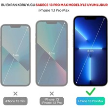 Royaleks Iphone 13 Pro Max Uyumlu Premium Ekran Koruyucu 9h Sert Temperli Kırılmaz Cam Koruma Şeffaf