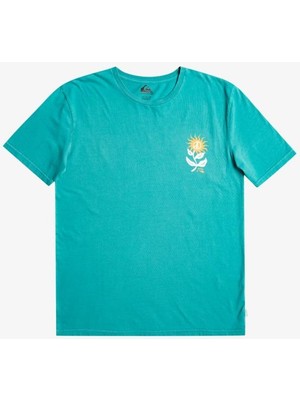 Quiksilver Sun Bloom Erkek T-shirt EQYZT07261