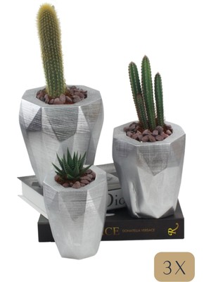 Stein Kohle Çiçek Saksısı Büyük Boy 3 Adet Gümüş Renk Uygulamalı Uzun Poly Model