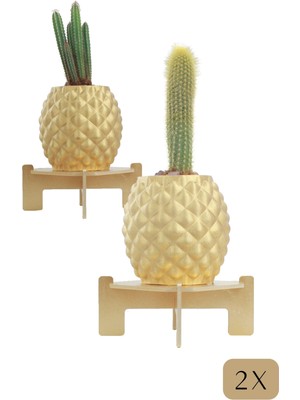 Stein Kohle Ayaklı Saksı Ahşap Büyük Boy 2 Adet Altın Renk Uygulamalı Ananas Model