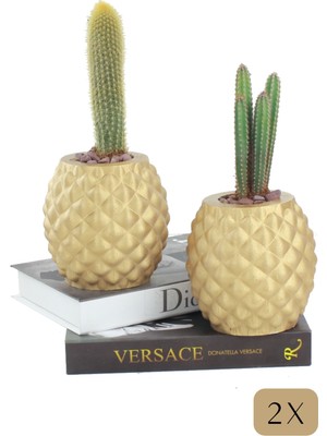 Stein Kohle Çiçek Saksısı Büyük Boy 2 Adet Altın Renk Uygulamalı Ananas Model