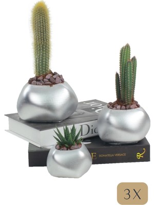 Stein Kohle Çiçek Saksısı Büyük Boy 3 Adet Gümüş Renk Uygulamalı Spiral Oval Model