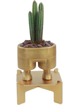 Stein Kohle Ayaklı Saksı Ahşap Büyük Boy 1 Adet Altın Renk Uygulamalı Pantolon Model