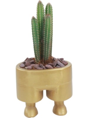 Stein Kohle Çiçek Saksısı Büyük Boy 1 Adet Altın Renk Uygulamalı Pantolon Model