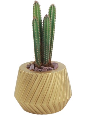 Stein Kohle Çiçek Saksısı Dekoratif Kaktüs Saksı 1 Adet Altın Renk Uygulamalı Dişli Model