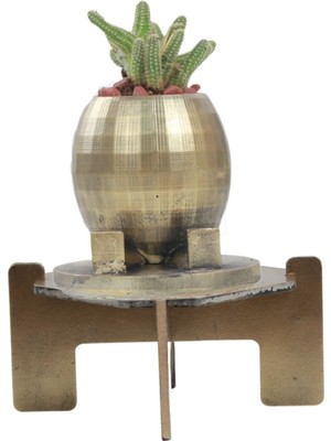 Stein Kohle Ayaklı Saksı Ahşap Dekoratif Kaktüs Saksı 1 Adet Altın Renk Eskitme Uygulamalı Ayaklı Yuvarlak Model