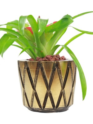 Stein Kohle Çiçek Saksısı Büyük Boy 1 Adet Altın Renk Eskitme Uygulamalı Baklava Model