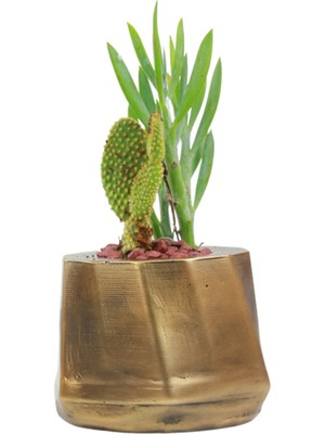 Stein Kohle Çiçek Saksısı Dekoratif Kaktüs Saksı 1 Adet Altın Renk Eskitme Uygulamalı Kalın Çizgili Model