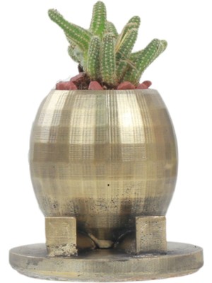 Stein Kohle Çiçek Saksısı Dekoratif Kaktüs Saksı 1 Adet Altın Renk Eskitme Uygulamalı Yuvarlak Ayaklı Model