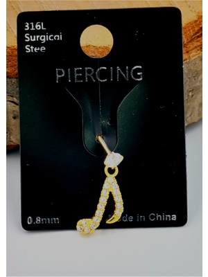 Çelik Zirkon Taşlı Piercing