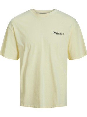 Jack & Jones Jorearth Planet Tee Ss Crew Neck Mc