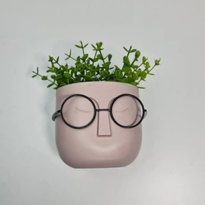 Profesör Saksılar Yapay Çimli Sukulent Gözlüklü Saksı