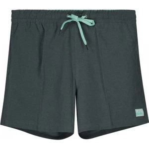 Surfsilk 16 M Jamv Erkek Volley Short EQYJV03993