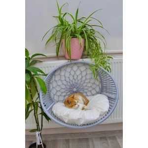 Kedi Kalorifer Petek Yatağı