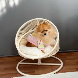 Kedi Yatağı