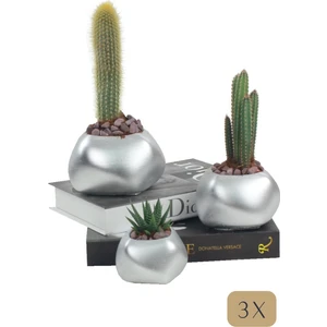 Stein Kohle Çiçek Saksısı Büyük Boy 3 Adet Gümüş Renk Uygulamalı Spiral Oval Model