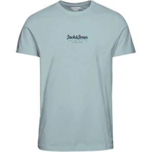 Jack & Jones Jorwalker Tee Ss Crew Neck Fst