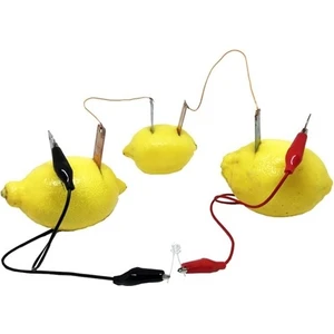 Limon Deney Seti - Limonlar Hariç