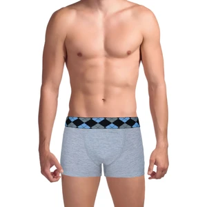 The Don Açık Gri Erkek Boxer 100TDNBXR032