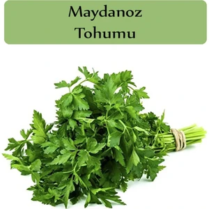 Çermik Fidancılık Iri Yaprak Maydanoz Tohumu 10 gr