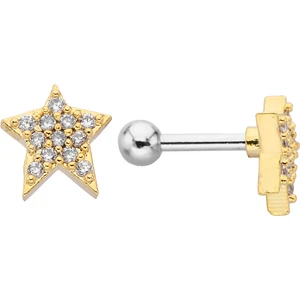 By Dilek Çetin Accessory Çelik Yıldız Model Kıkırdak Helix Tragus Piercing
