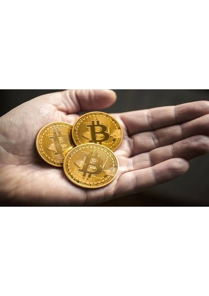 Bitcoin Madeni Hediyelik Coin Sanal Para