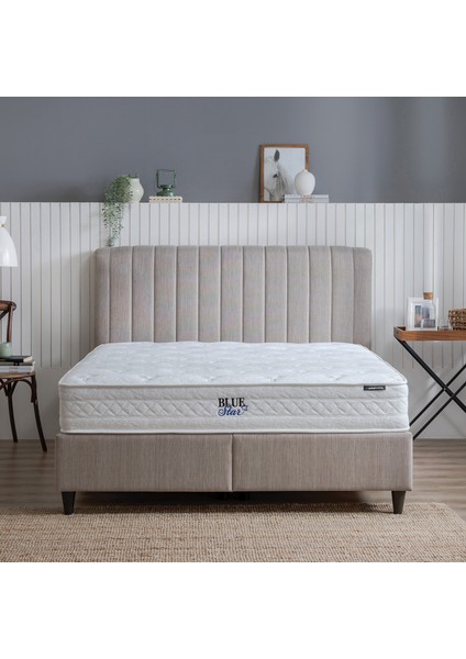 Bedding Blue Star Yatak, Lento Baza, Somni Başlık Tek Kişilik 3'lü Set - Bej