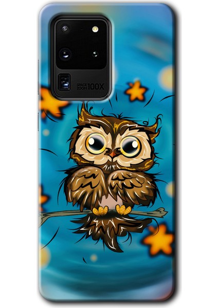 Samsung Galaxy S20 Ultra Kılıf Hd Desen Baskılı Arka Kapak + Temperli Cam - Owl Bird Stars