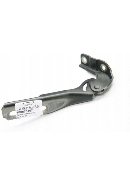 A3 Motor Kaput Mentesesı Sag 04-08 [orijinal] [8P0823302]
