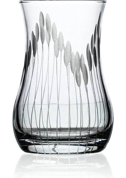 Nevasia 6 Kişilik 12 Parça Çay Seti 170CC Vega Desenli modelleri