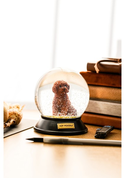 Cam ve Reçine Altın Patiler Toy Poodle (Tarçın) Kar Küresi