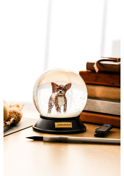 Cam ve Reçine Altın Patiler Chihuahua (Kahverengi) Kar Küresi