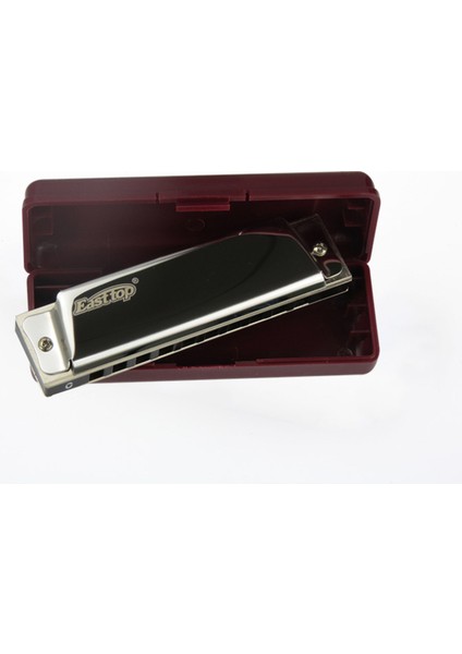 T10 Paslanmaz Çelik Gövde / 10 Delikli / Gümüş-Altın Renk Harmonica modelleri