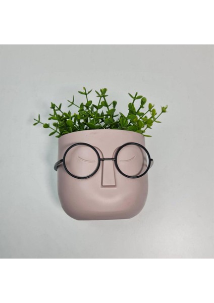 Profesör Saksılar Yapay Çimli Sukulent Gözlüklü Saksı