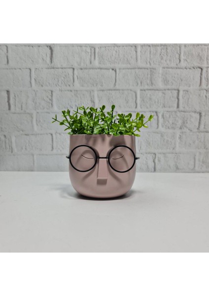 Profesör Saksılar Yapay Çimli Sukulent Gözlüklü Saksı fiyatları