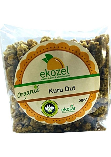 Organik Kuru Dut 250 gr